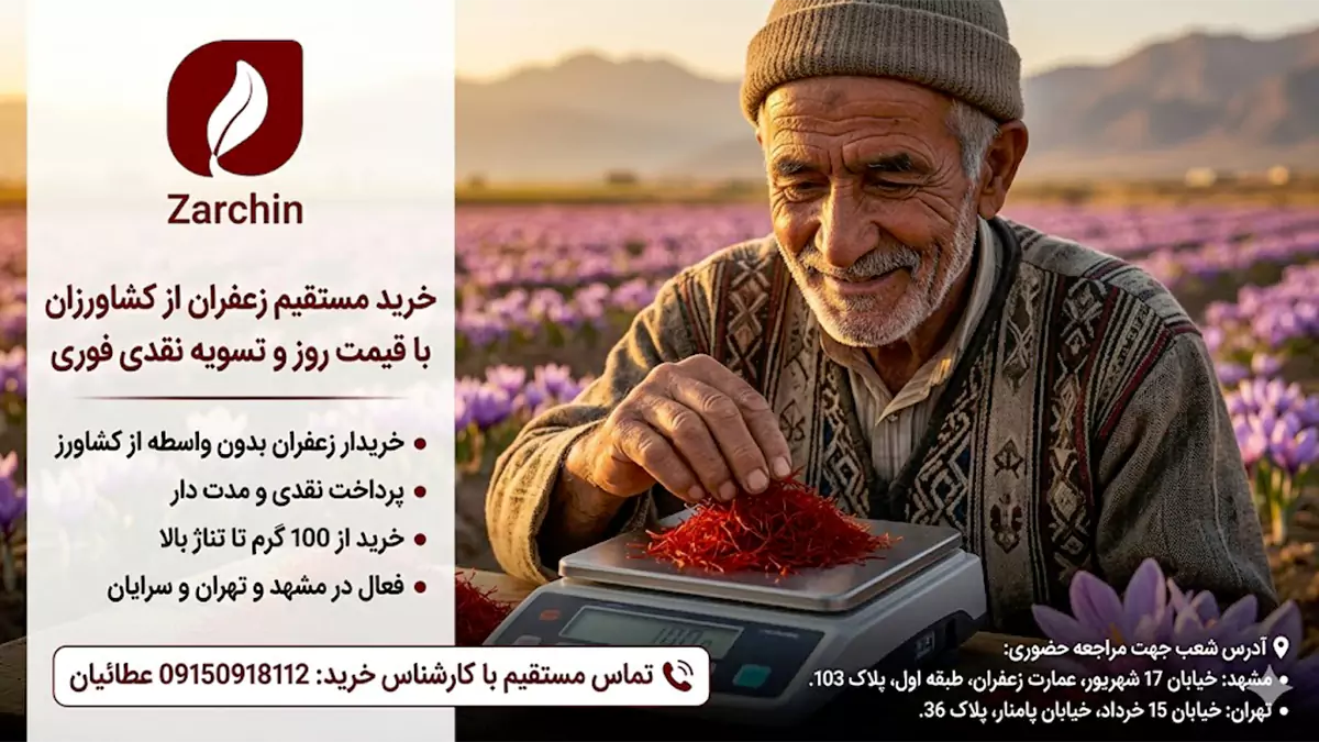 خریدار زعفران از کشاورزان | خریدار عمده و کیلویی زعفران در 1405